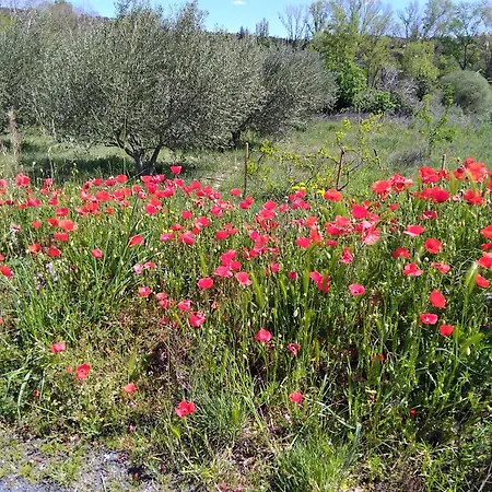 Penthouse En Bleu Royal דירה Vinca